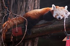 Умер один из самых известных обитателей Московского зоопарка