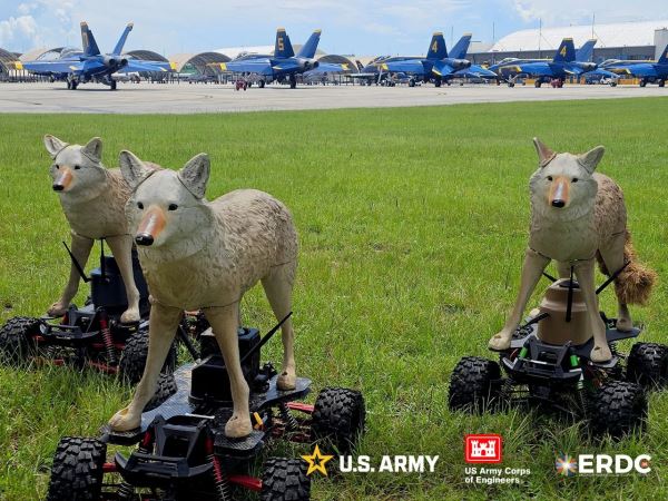 В США начали использовать колёсных роботов-койотов для охраны аэродромов от диких зверей