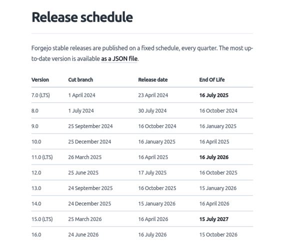 Релиз платформы совместной разработки Forgejo v12.0