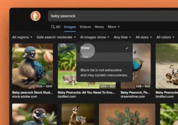 DuckDuckGo позволит скрывать сгенерированные изображения в результатах поиска