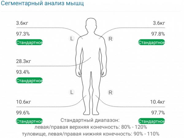 Обзор умных напольных весов Garlyn BodyScan Master IMB-01